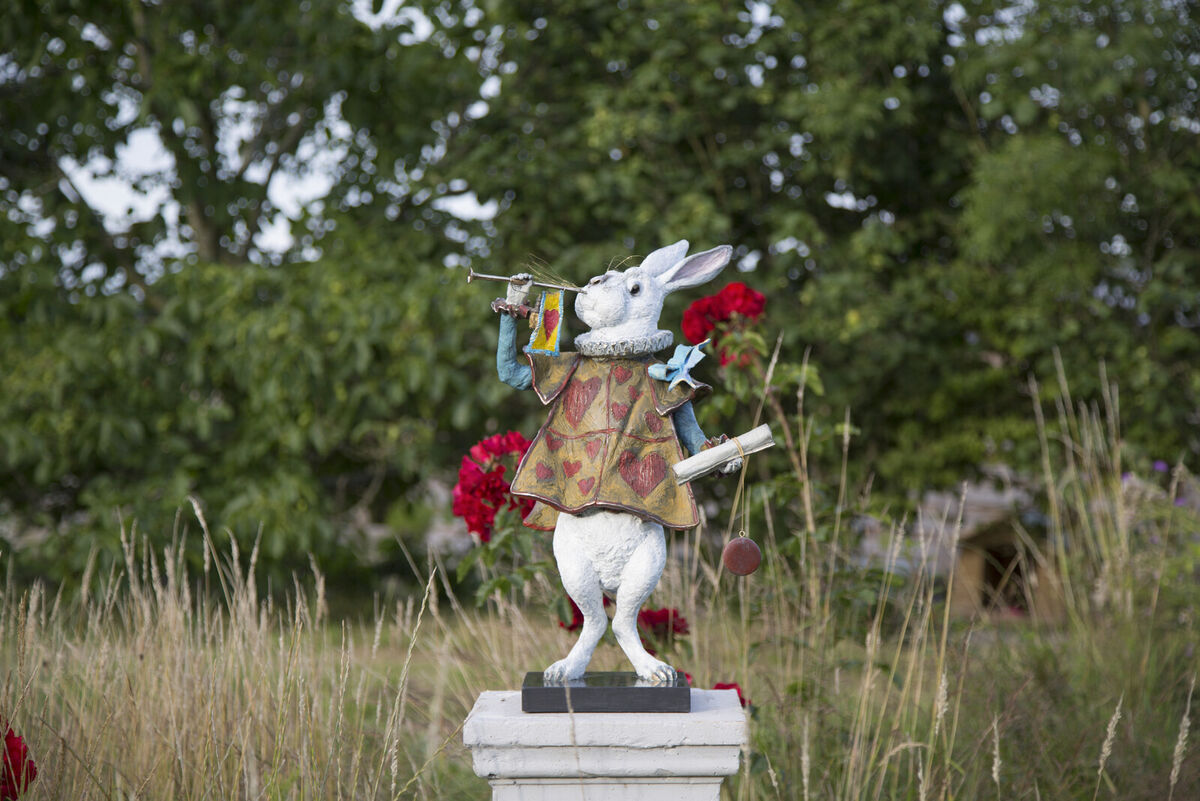 Regal Rabbit Images 7