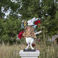 Regal Rabbit Images 7