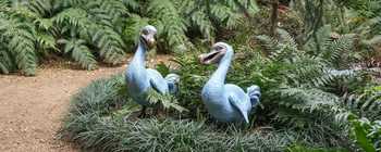 two dodo sculptures 