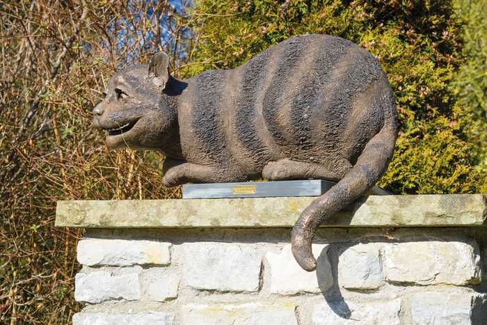 cheshire cat on a wall