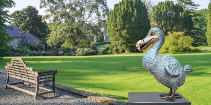 the dodo sculpture on a plinth 