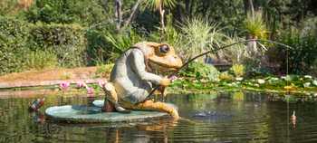 mr jeremy fisher water feature