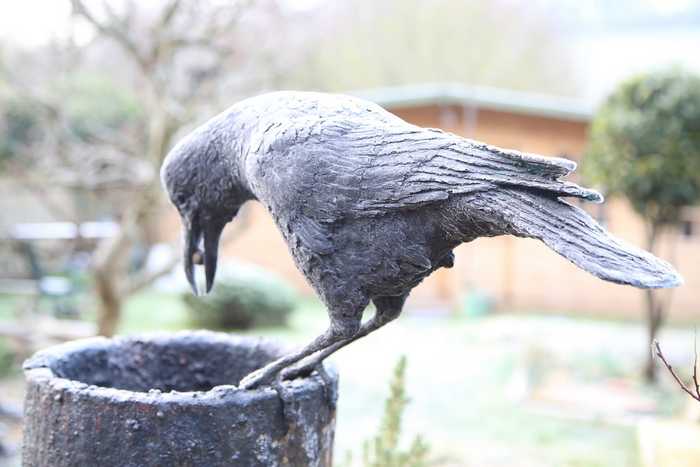 the crow an the pitcher the crow an the pitcher