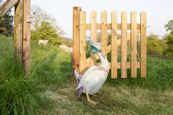 jemima puddle duck garden sculpture