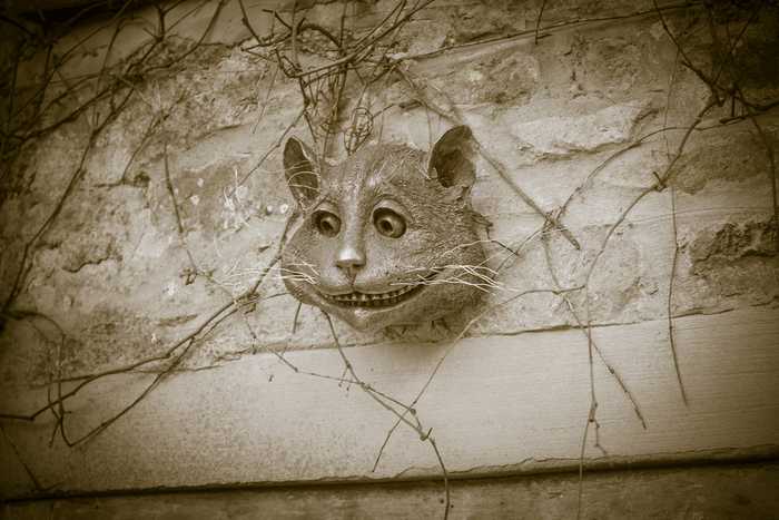 cheshire cat face sepia