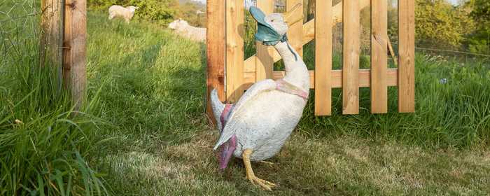 jemima puddle duck sculpture