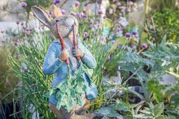 peter rabbit with radishes