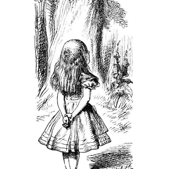 rjw-product-illustration-alice-1.jpg