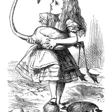 rjw-product-illustration-alice-flamingo.jpg