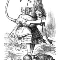 rjw-product-illustration-alice-flamingo.jpg