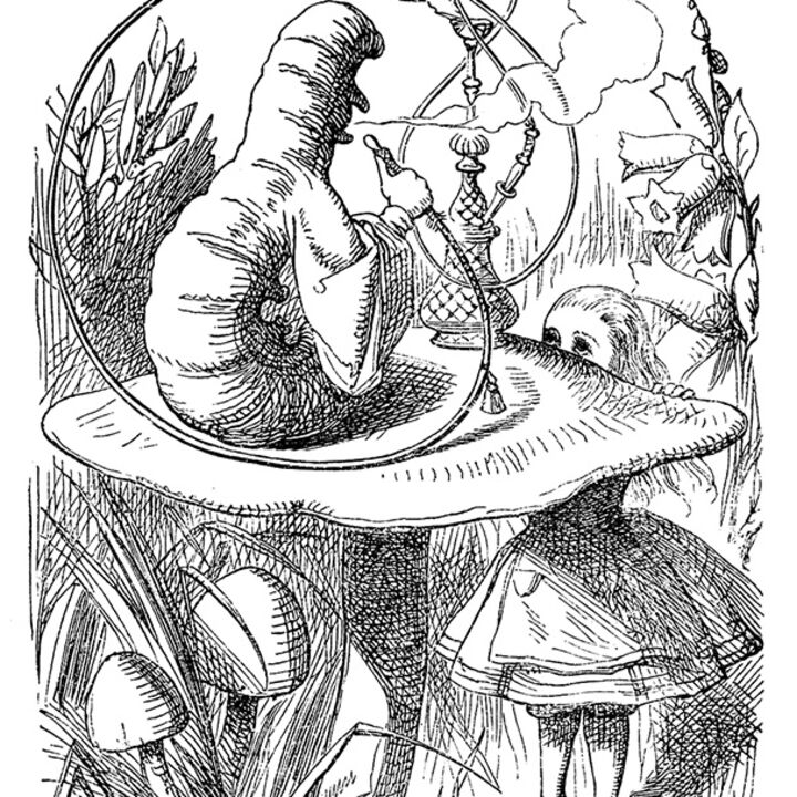 rjw-product-illustration-caterpillar.jpg