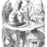 rjw-product-illustration-caterpillar.jpg