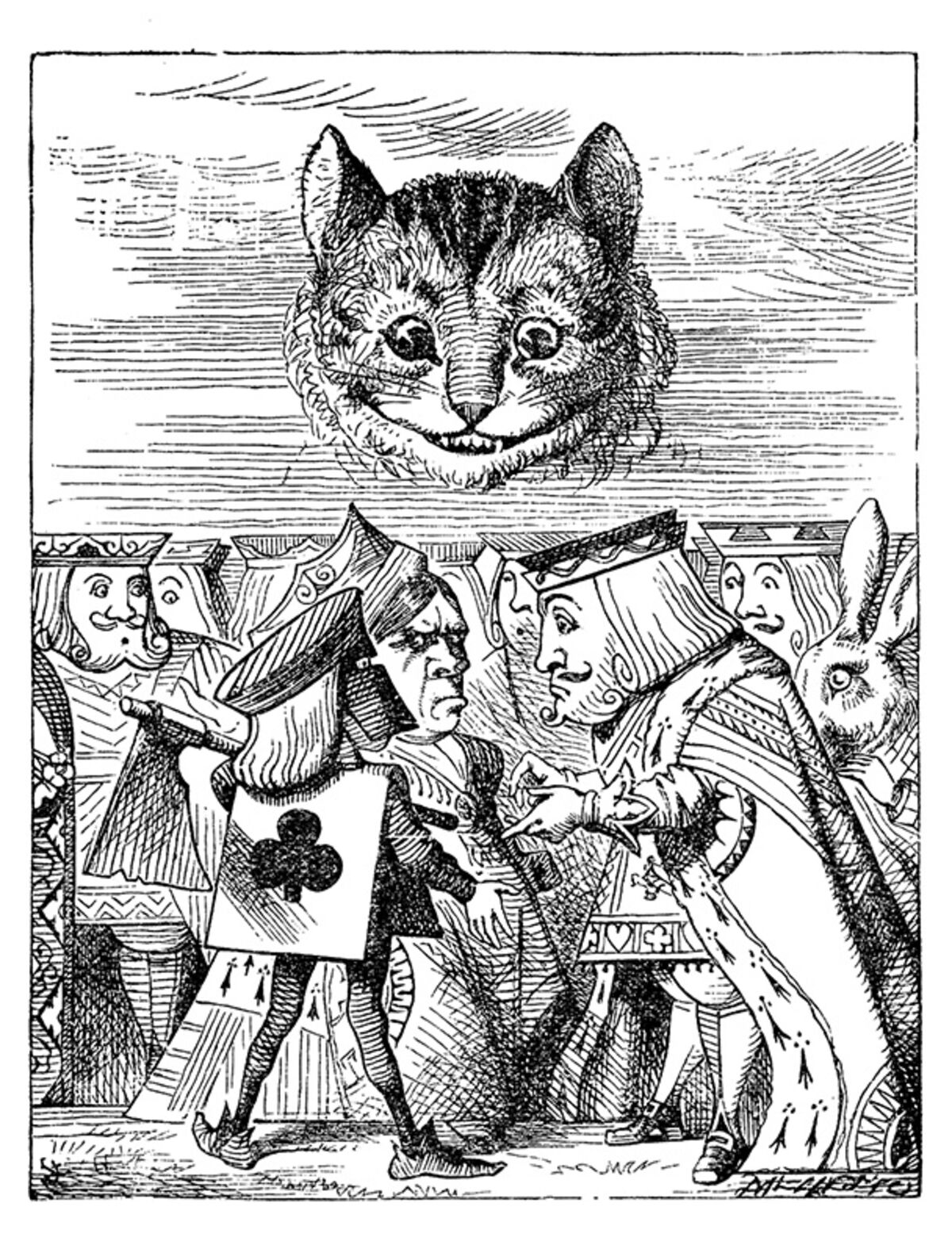 rjw-product-illustration-cheshire-cat-face.jpg