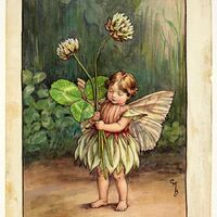 rjw-product-illustration-clover-fairy.jpg