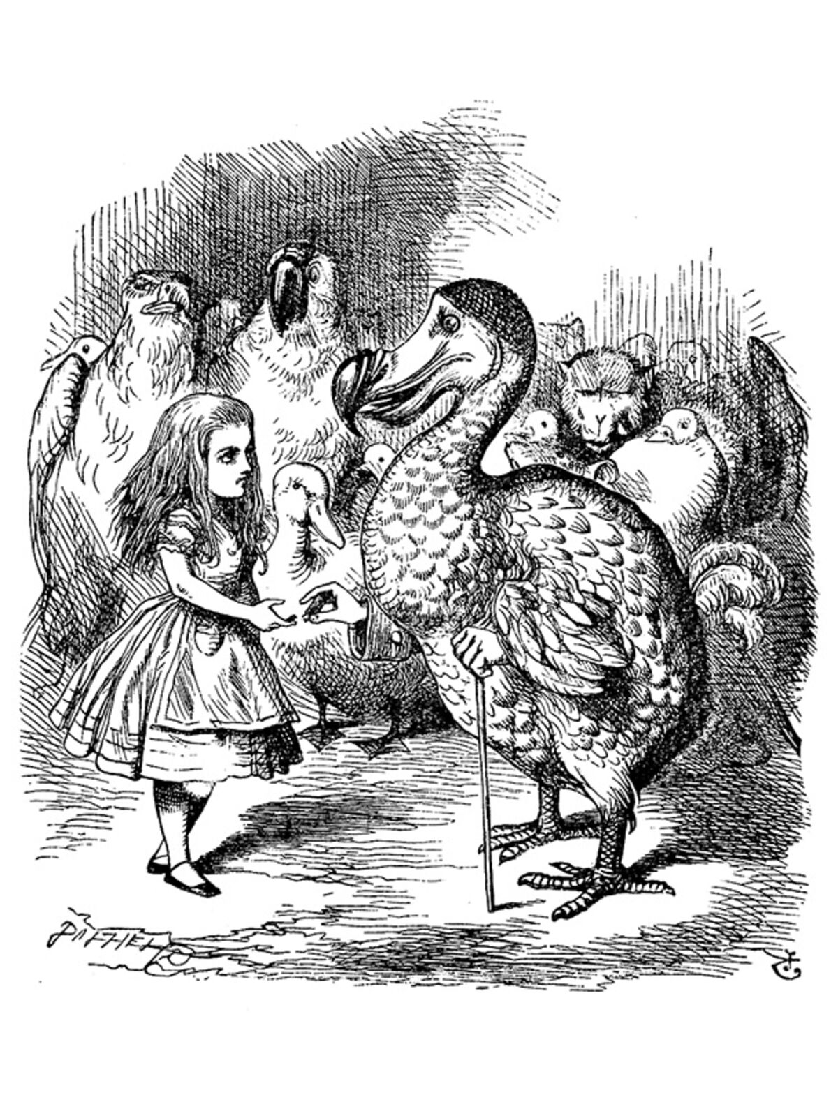 rjw-product-illustration-mr-dodo-esquire.jpg