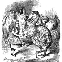 rjw-product-illustration-mr-dodo-esquire.jpg