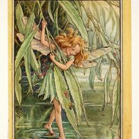 rjw-product-illustration-willow-fairy.jpg