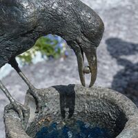 rjw-product-image-aesops-crow-5.jpg