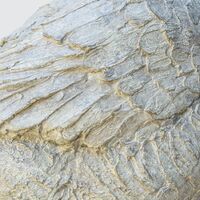 rjw-product-image-aesops-goose-4.jpg