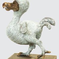 rjw-product-image-dodo-chick-3.jpg