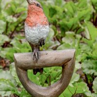rjw-shop-image-robin-and-hot-cast-dibber-2021.jpg