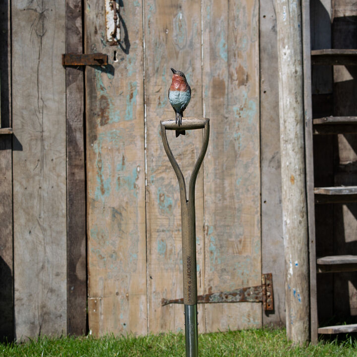 Robin on a Spade