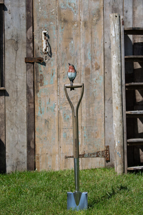 Robin on a Spade