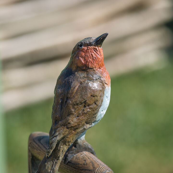 Robin on a Spade 3