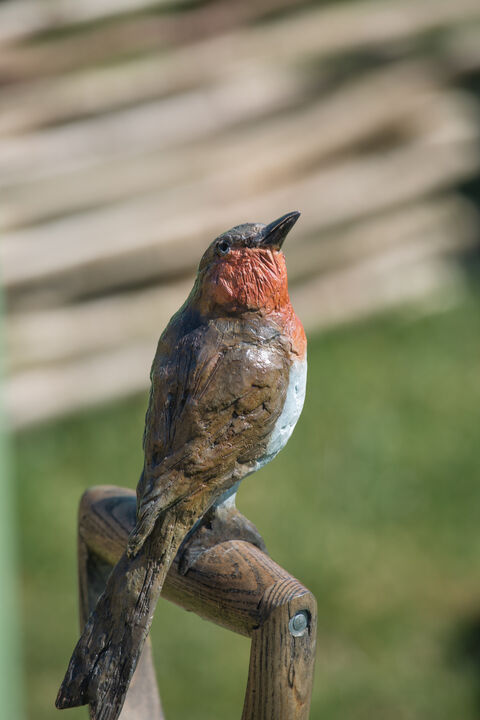 Robin on a Spade 3