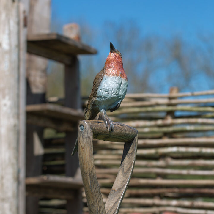 Robin on a Spade 4