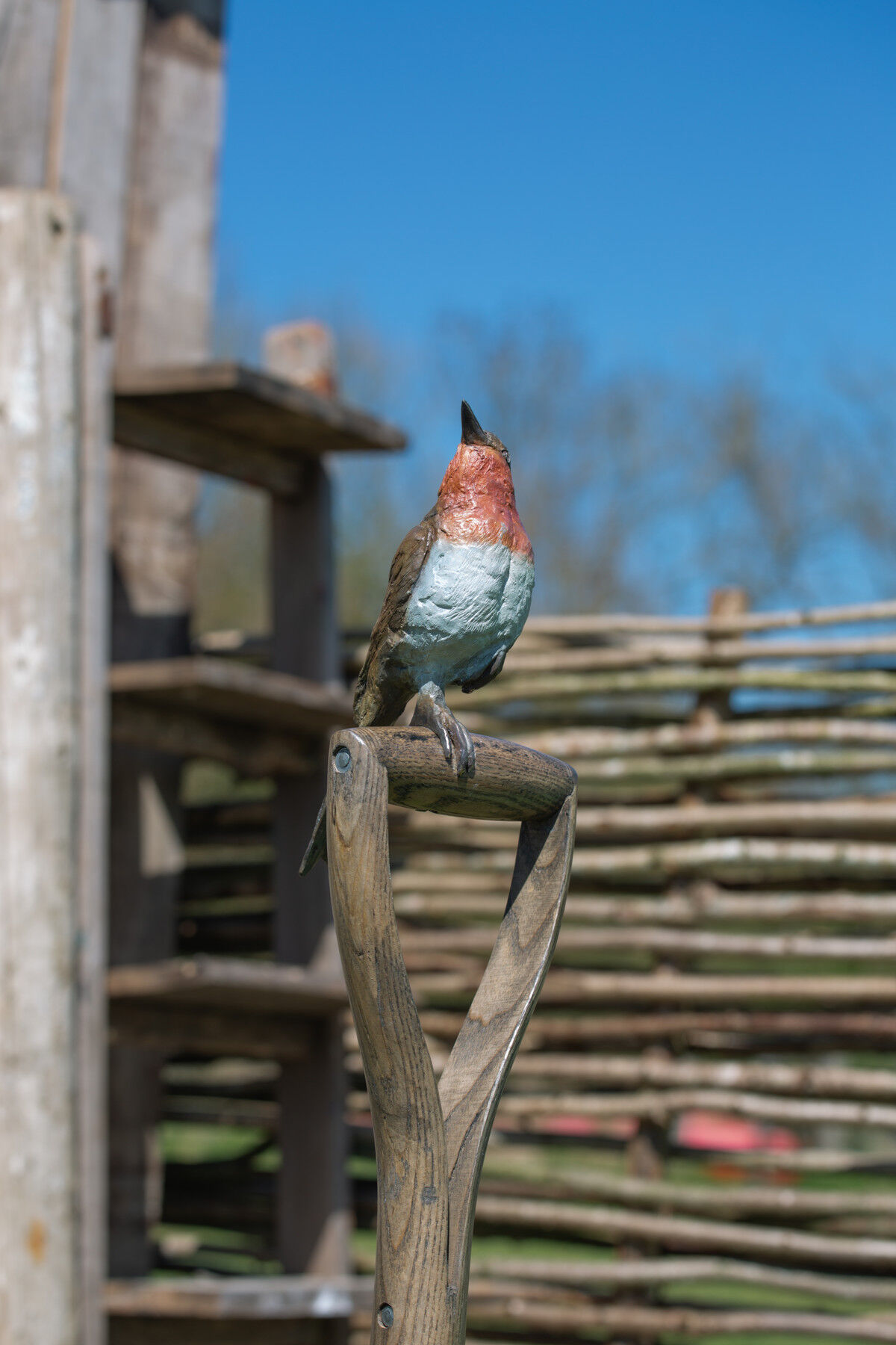 Robin on a Spade 4