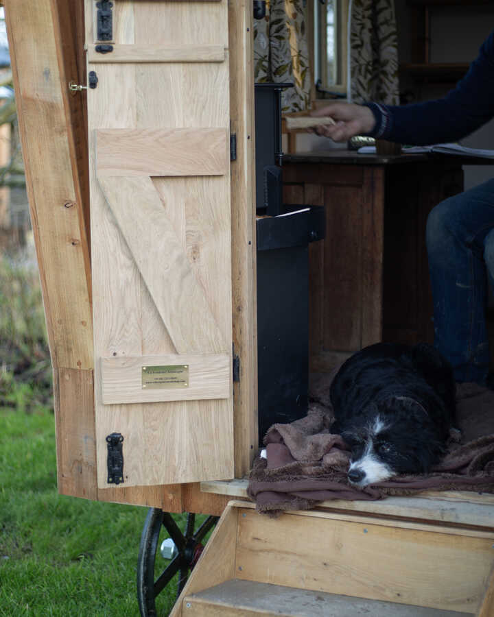James Coplestone's dog Ember
