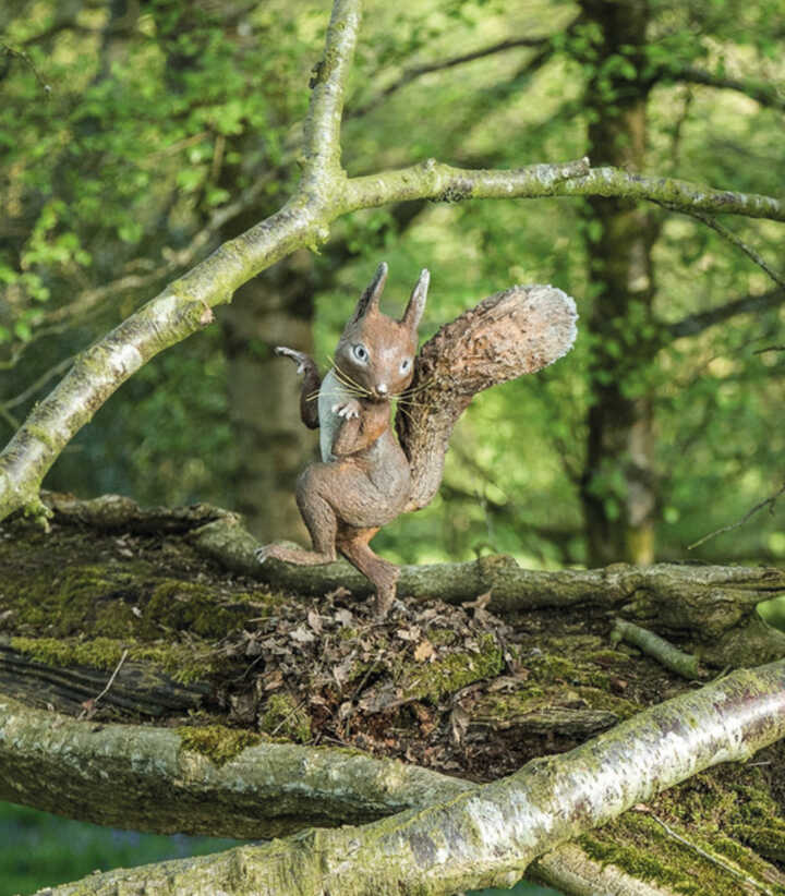 Squirrel Nutkin at RHS Chelsea Flower Show 2025