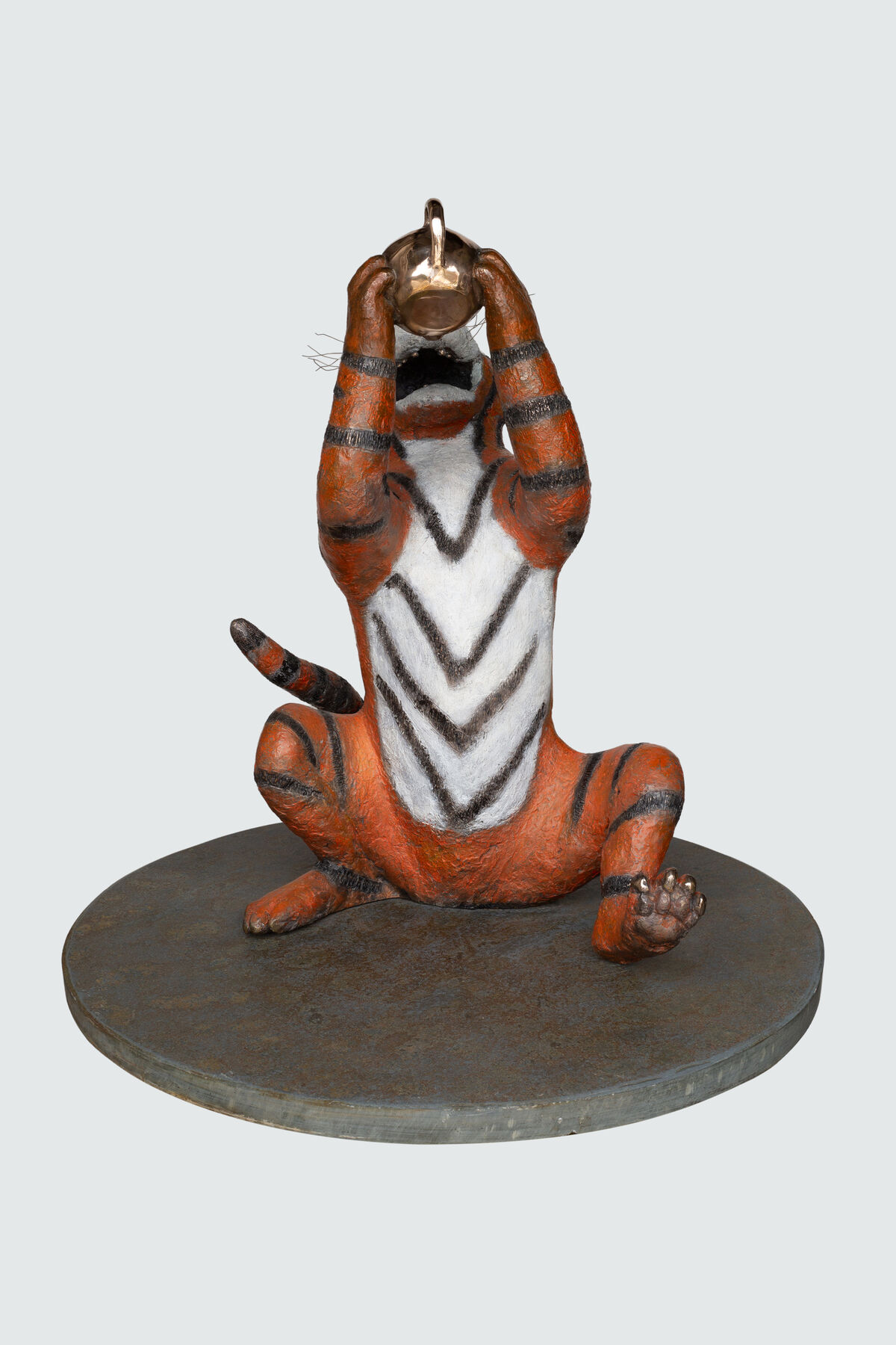 Tiger who studio5.jpg