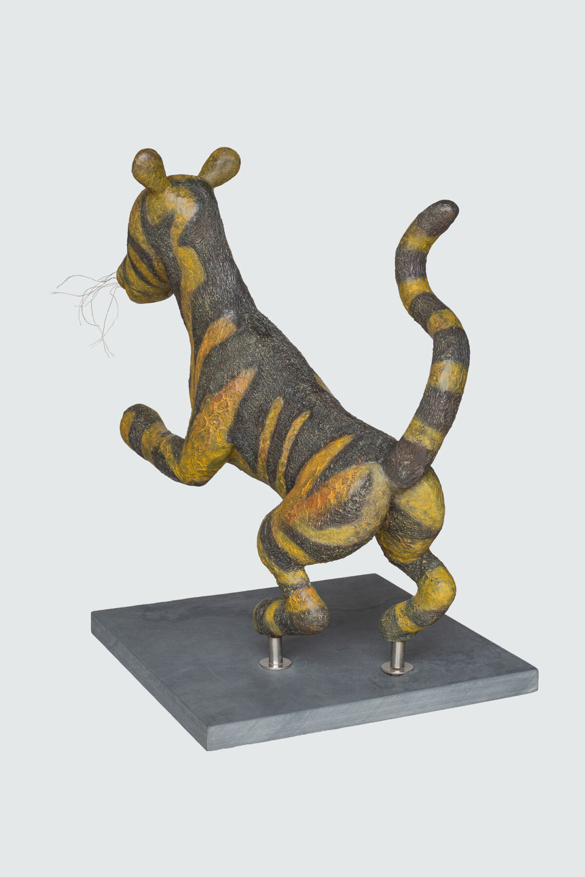 Tigger studio4.jpg