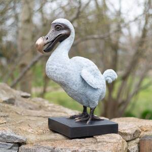 Dodo1.jpg