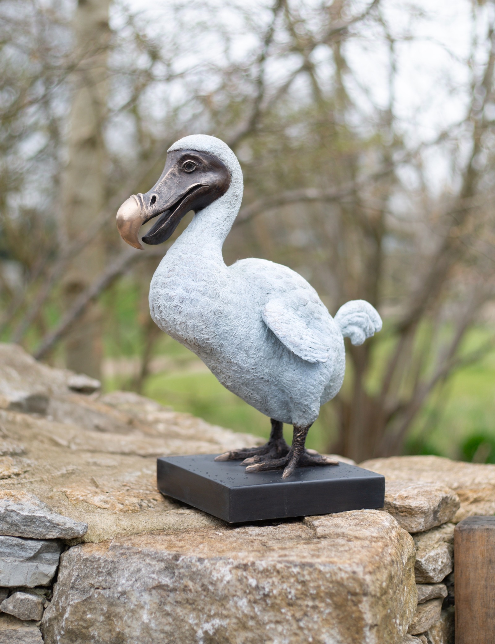 Dodo1.jpg