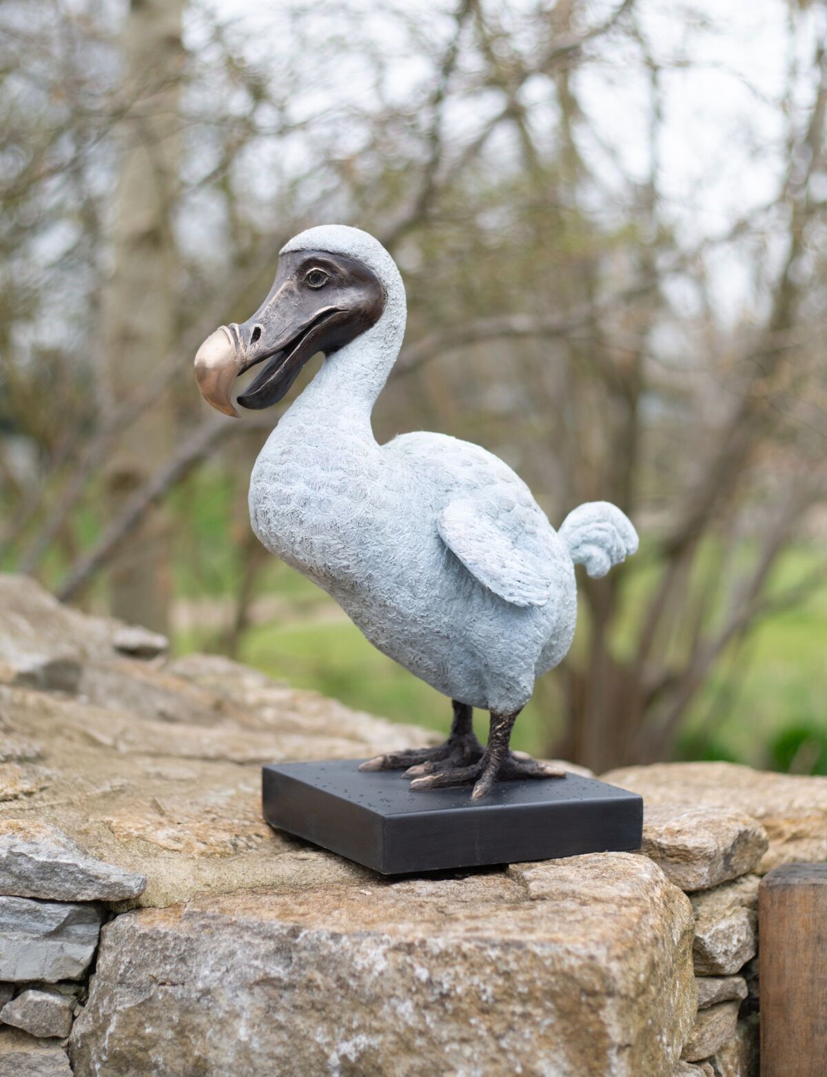Dodo1.jpg
