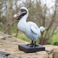 Dodo1.jpg