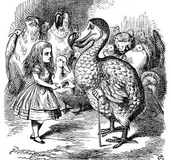 alice and dodo illustration
