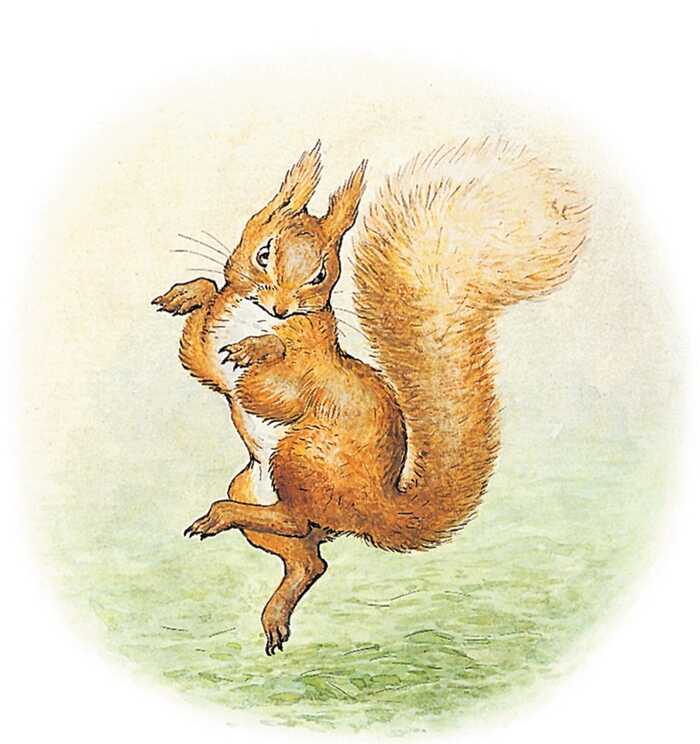 squirrel nutkin illustration