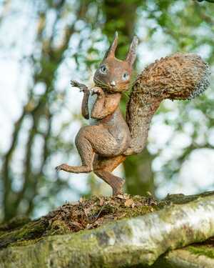 squirrel nutkin bronze sculpture
