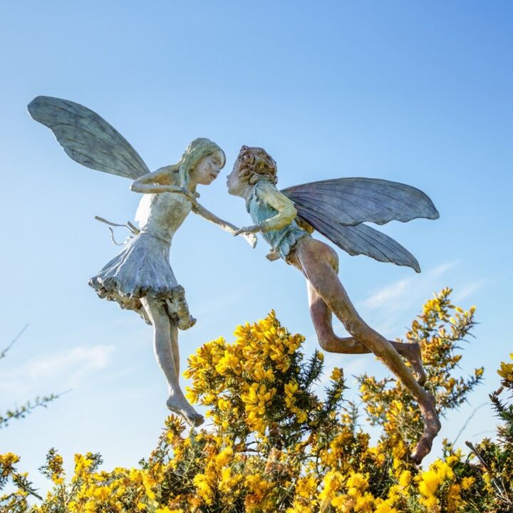 GORSE F copy.jpg