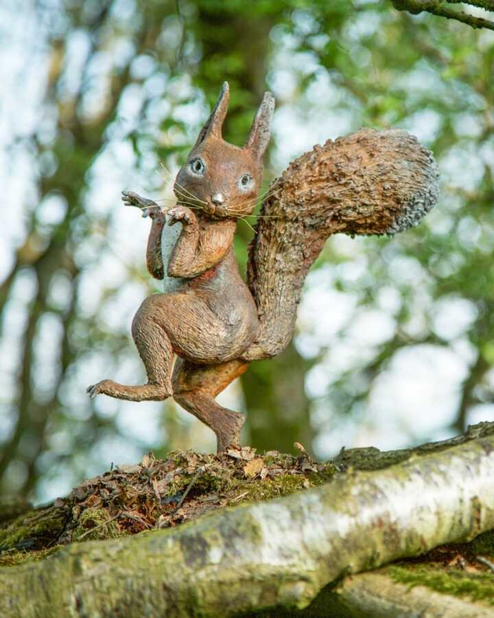 squirrel nutkin