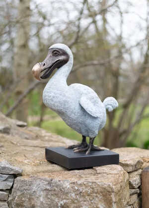 Dodo sculpture with bronze beak detail
