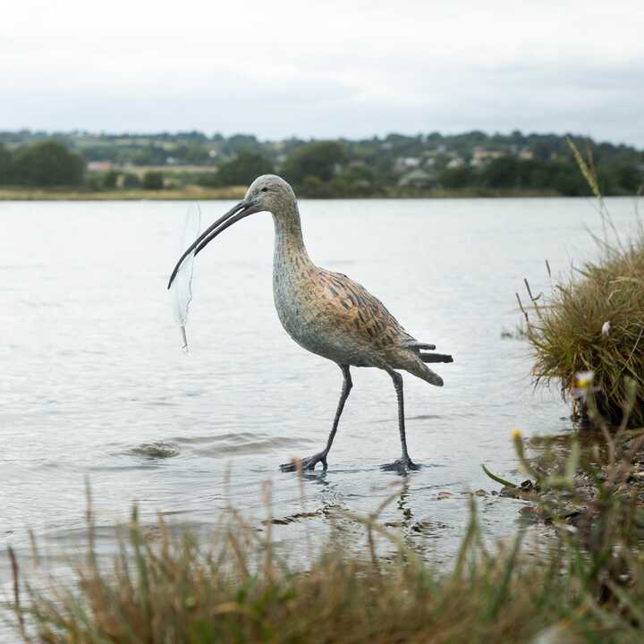 Curlew - Garden Sculpture