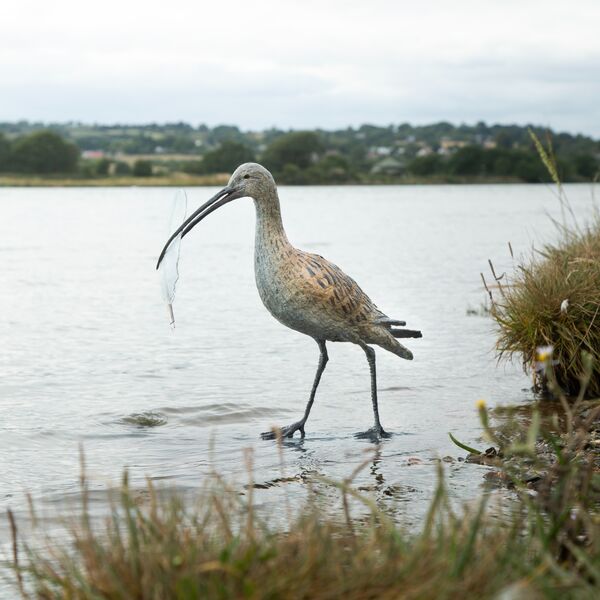 Curlew - Garden Sculpture