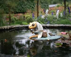 Mr Jeremy Fisher Water Feature