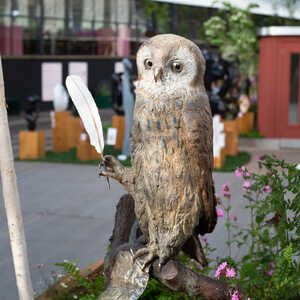 Wol garden sculpture displayed at RHS Chelsea Flower Show 2026