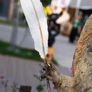 Wol Detail2.jpg
